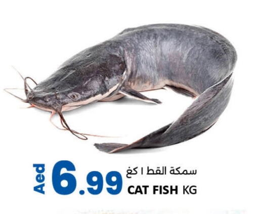 available at LIYAKKAS HYPERMARKET LLC in UAE - Abu Dhabi