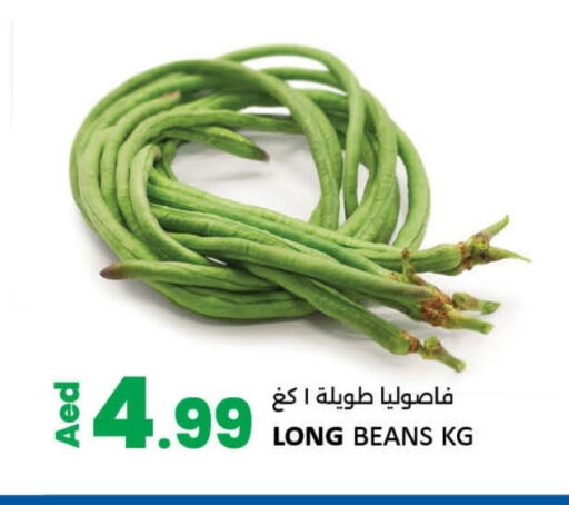 Beans available at LIYAKKAS HYPERMARKET LLC in UAE - Abu Dhabi