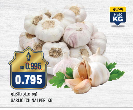 Garlic from China available at Oncost in Kuwait - Ahmadi Governorate