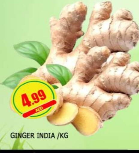 Ginger from India available at AL MADINA in UAE - Sharjah / Ajman