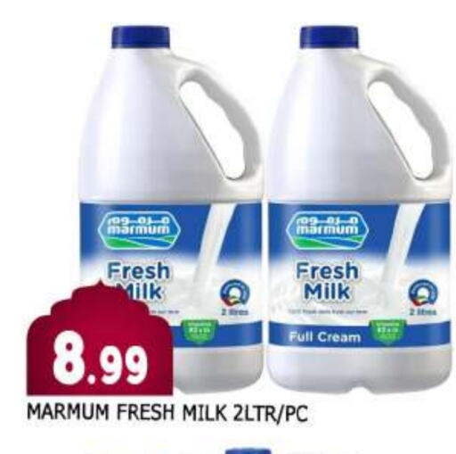 MARMUM Fresh Milk available at AL MADINA in UAE - Sharjah / Ajman