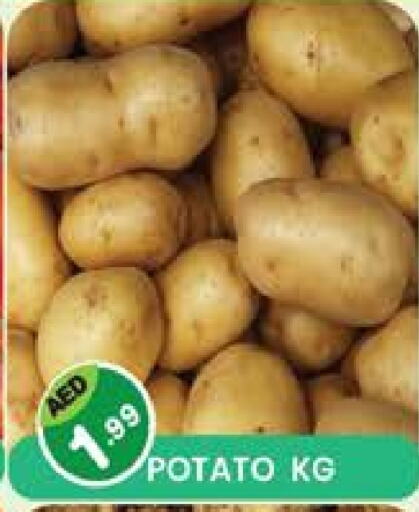 Potato available at Baniyas Spike  in UAE - Umm al Quwain