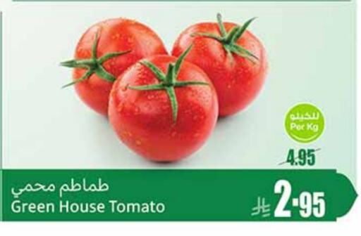 Tomato available at Othaim Markets in KSA, Saudi Arabia, Saudi - Tabuk