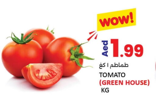 Tomato available at LIYAKKAS HYPERMARKET LLC in UAE - Abu Dhabi