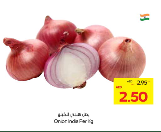 Onion from India available at ADCOOP in UAE - Abu Dhabi