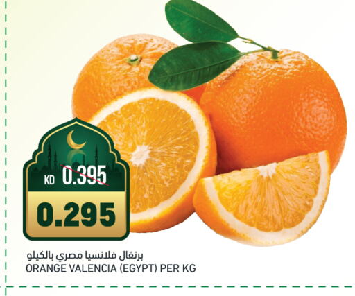 Orange from Egypt available at Gulfmart in Kuwait - Jahra Governorate