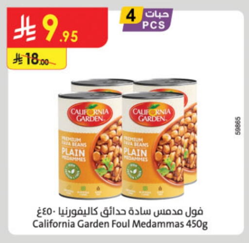 CALIFORNIA GARDEN available at Danube in KSA, Saudi Arabia, Saudi - Riyadh