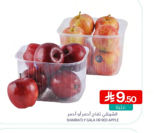 Apples available at Muntazah Markets in KSA, Saudi Arabia, Saudi - Dammam