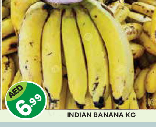 Banana from India available at Baniyas Spike  in UAE - Al Ain