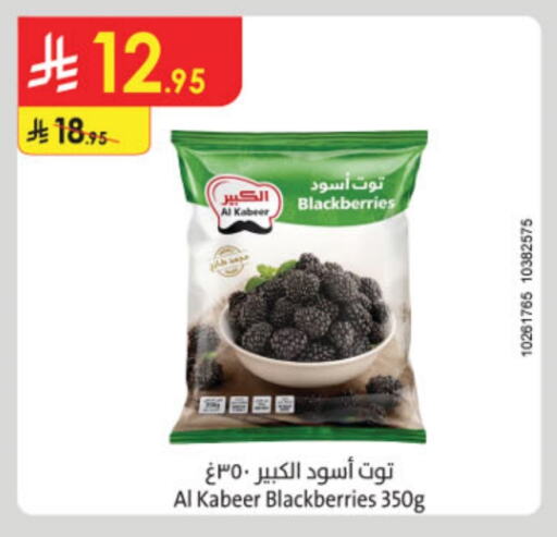 AL KABEER available at Danube in KSA, Saudi Arabia, Saudi - Jubail