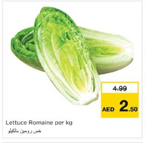 Lettuce available at نستو هايبرماركت in الإمارات العربية المتحدة , الامارات - الشارقة / عجمان