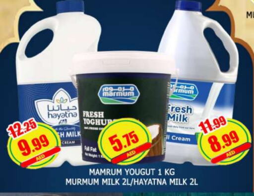 MARMUM Full Cream Milk available at AL MADINA in UAE - Sharjah / Ajman