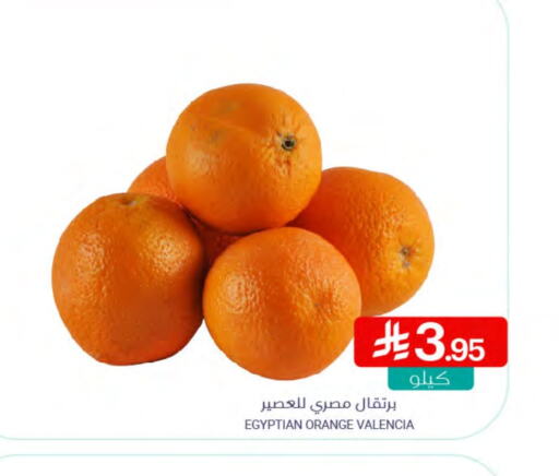 Orange from Egypt available at Muntazah Markets in KSA, Saudi Arabia, Saudi - Saihat