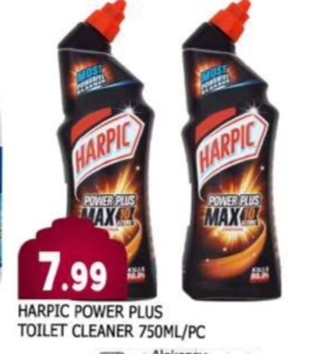 HARPIC Toilet / Drain Cleaner available at AL MADINA in UAE - Sharjah / Ajman