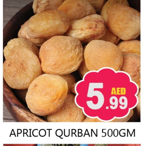 Apricot available at سوق المبارك هايبرماركت in الإمارات العربية المتحدة , الامارات - الشارقة / عجمان