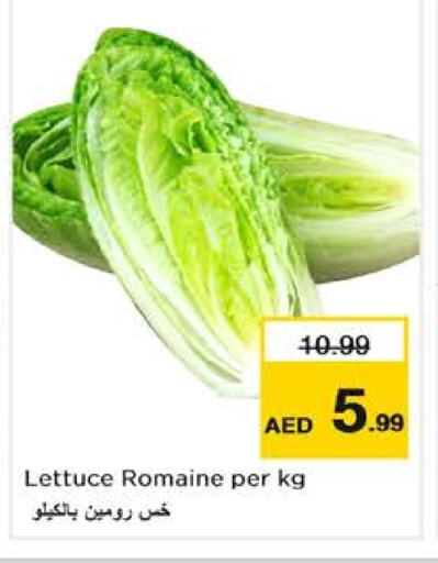 Lettuce available at Nesto Hypermarket in UAE - Dubai