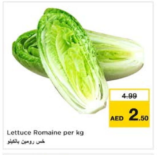 Lettuce available at نستو هايبرماركت in الإمارات العربية المتحدة , الامارات - الشارقة / عجمان