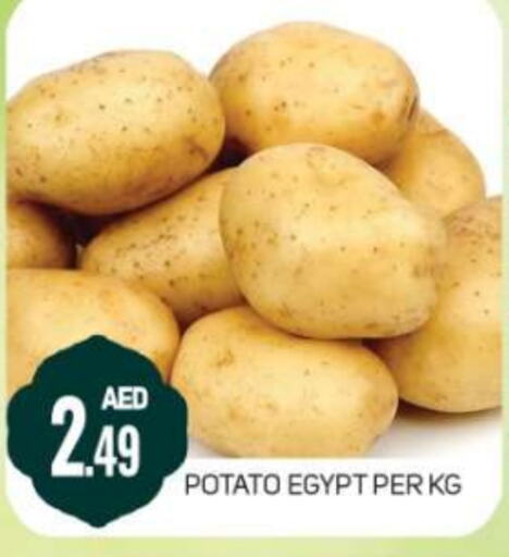 Potato from Egypt available at Daylife Hypermarket LLC in UAE - Dubai