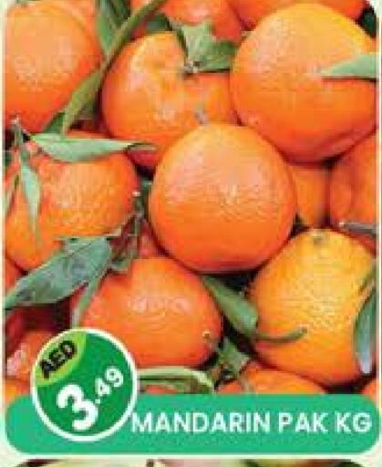 Orange available at Baniyas Spike  in UAE - Umm al Quwain