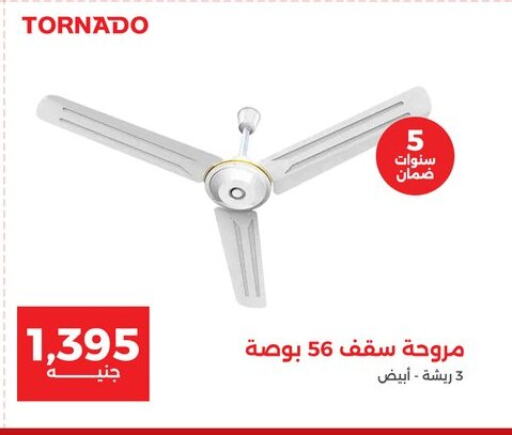 TORNADO Fan available at Raneen in Egypt - Cairo