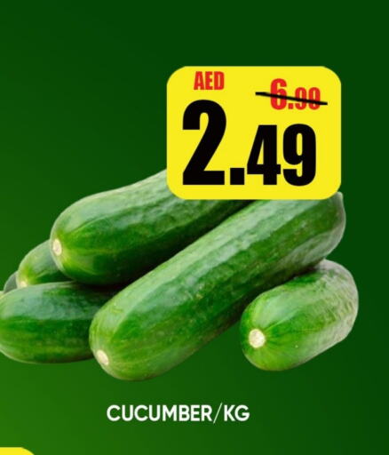 Cucumber available at Leptis Hypermarket  in UAE - Ras al Khaimah