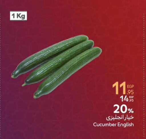 Cucumber available at Carrefour  in Egypt - Cairo