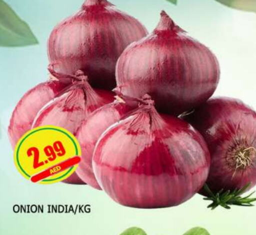 Onion from India available at AL MADINA in UAE - Sharjah / Ajman