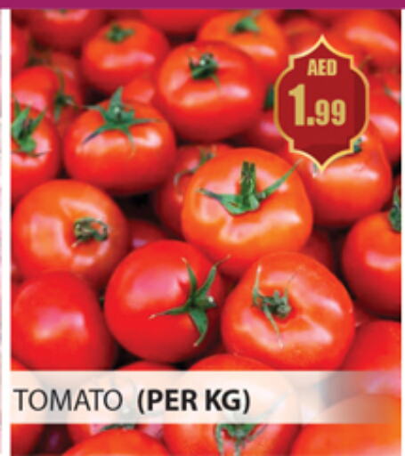 Tomato available at Gulf Hypermarket LLC in UAE - Ras al Khaimah