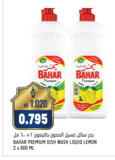 BAHAR available at Oncost in Kuwait - Jahra Governorate