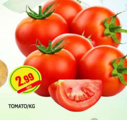 Tomato available at AL MADINA in UAE - Sharjah / Ajman