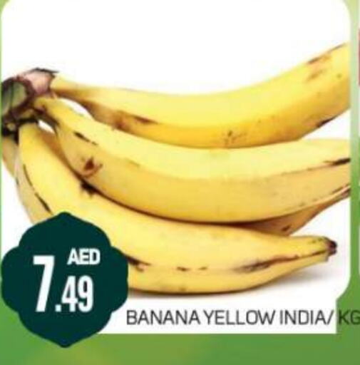 Banana from India available at Daylife Hypermarket LLC in UAE - Dubai