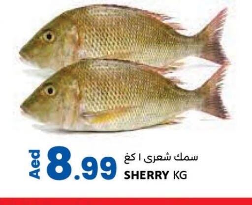 available at LIYAKKAS HYPERMARKET LLC in UAE - Abu Dhabi