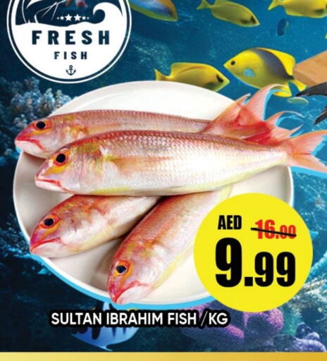 available at Leptis Hypermarket  in UAE - Ras al Khaimah