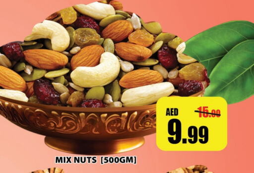 available at Leptis Hypermarket  in UAE - Ras al Khaimah