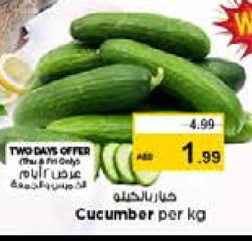 Cucumber available at Nesto Hypermarket in UAE - Dubai