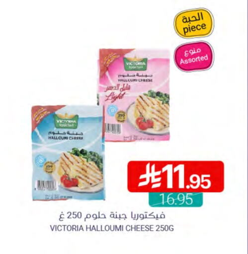 Halloumi available at Muntazah Markets in KSA, Saudi Arabia, Saudi - Qatif