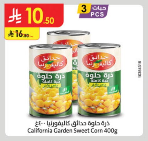 كاليفورنيا جاردن available at الدانوب in مملكة العربية السعودية, السعودية, سعودية - عنيزة