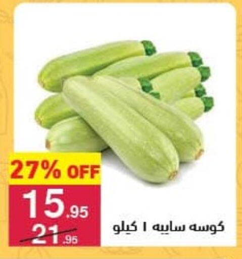 Zucchini available at Mahmoud El Far in Egypt - Cairo