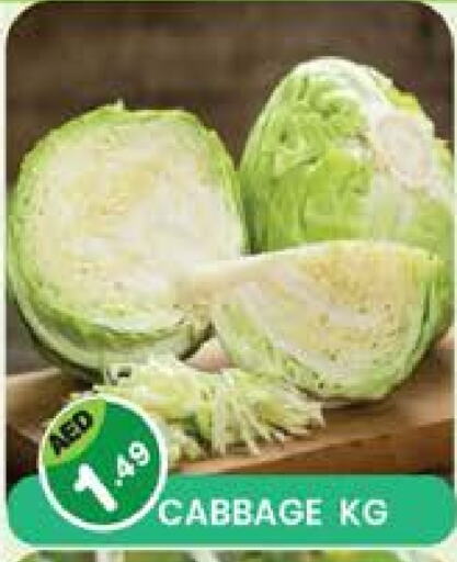 Cabbage available at Baniyas Spike  in UAE - Umm al Quwain