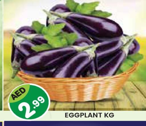 Eggplant available at سنابل بني ياس in الإمارات العربية المتحدة , الامارات - ٱلْعَيْن‎