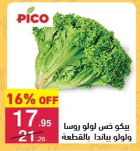 available at Mahmoud El Far in Egypt - Cairo