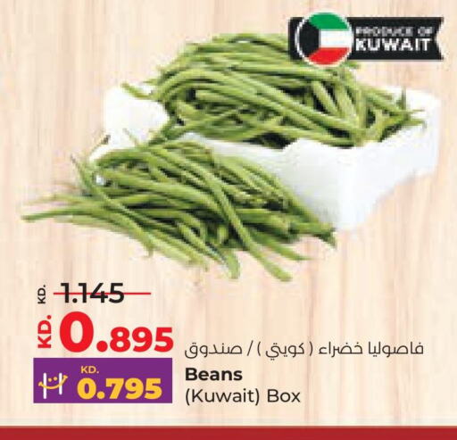 Beans from Kuwait available at Lulu Hypermarket  in Kuwait - Kuwait City