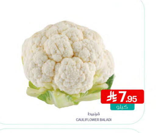 Cauliflower available at Muntazah Markets in KSA, Saudi Arabia, Saudi - Qatif