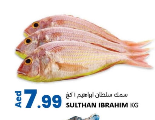 available at LIYAKKAS HYPERMARKET LLC in UAE - Abu Dhabi