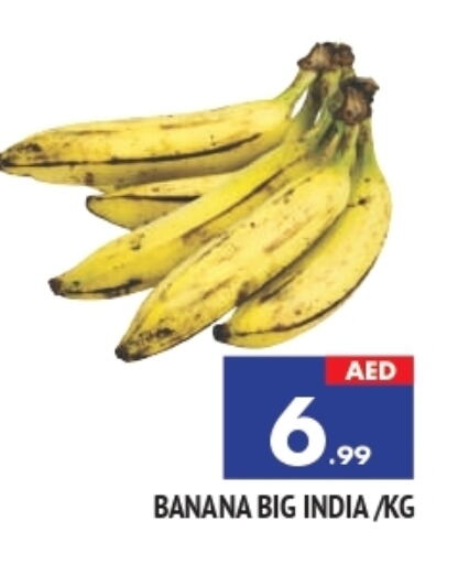 موز from India available at المدينة in الإمارات العربية المتحدة , الامارات - الشارقة / عجمان