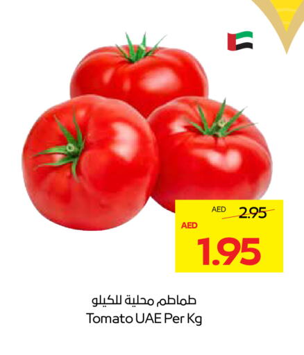 Tomato available at ADCOOP in UAE - Abu Dhabi