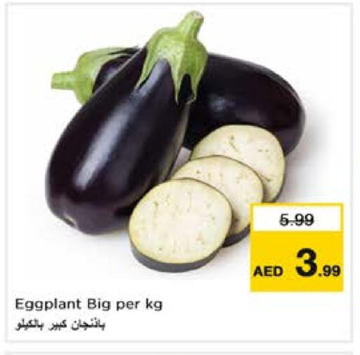 Eggplant available at نستو هايبرماركت in الإمارات العربية المتحدة , الامارات - الشارقة / عجمان