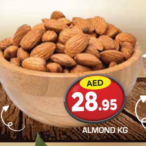 available at سنابل بني ياس in الإمارات العربية المتحدة , الامارات - أبو ظبي