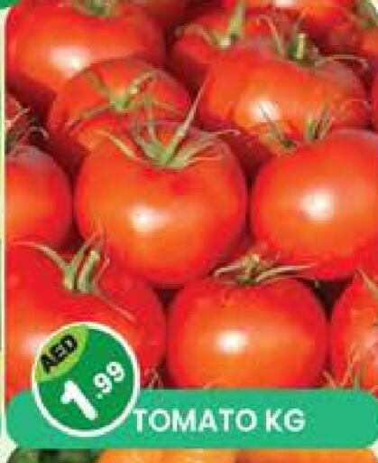 Tomato available at Baniyas Spike  in UAE - Umm al Quwain