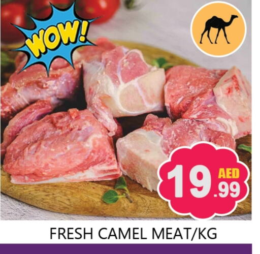 Camel meat available at Souk Al Mubarak Hypermarket in UAE - Sharjah / Ajman